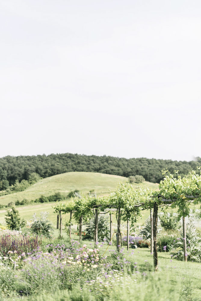 puscina-vivi-giardino2