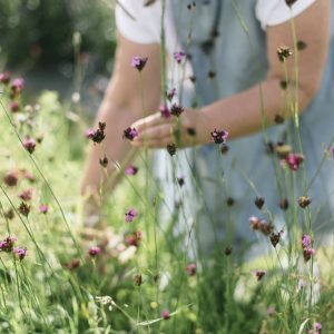 Enjoy the garden
