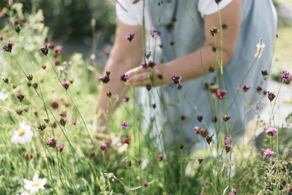 Enjoy the garden