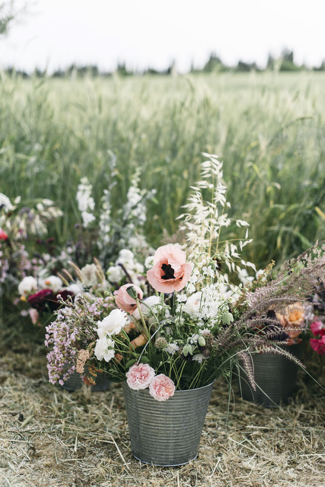 puscina-vivi-giardino4b