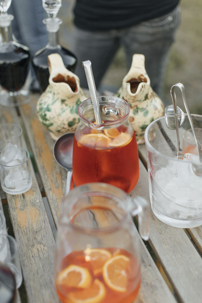 puscina-vivi-giardino8