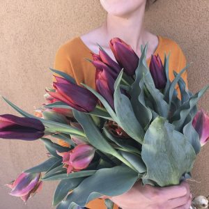 Tulips Love