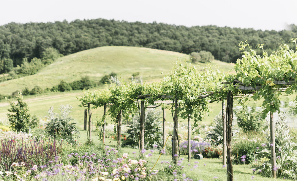 coworking-foto giardino co working
