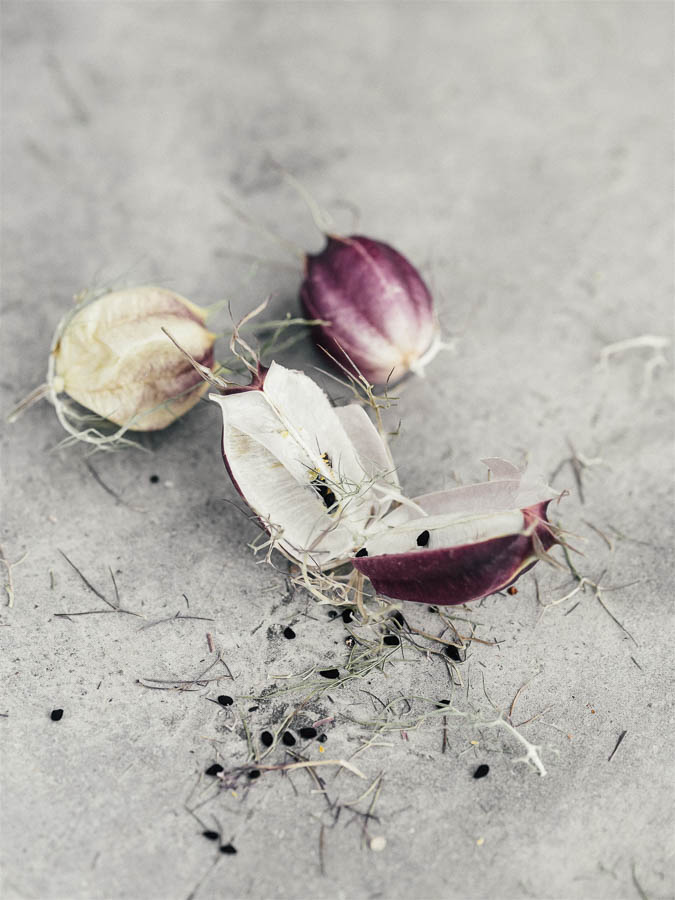 Nigella damascena misto varietà - Image 3