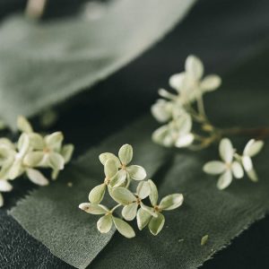 BOUQUET ANNABELLE - immagine 3