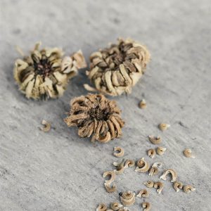 Calendula officinalis crema - Image 2