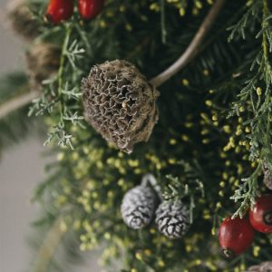 GHIRLANDA DEL BOSCO - immagine 3