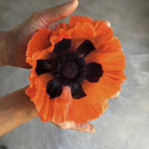 Papaver orientale ‘Misto colore’ - immagine 2