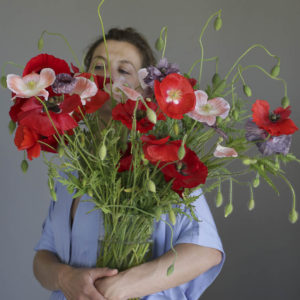 Papaver rhoeas ‘Misto colore’