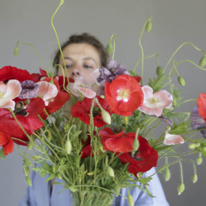 Papaver rhoeas ‘Misto colore’ - immagine 3