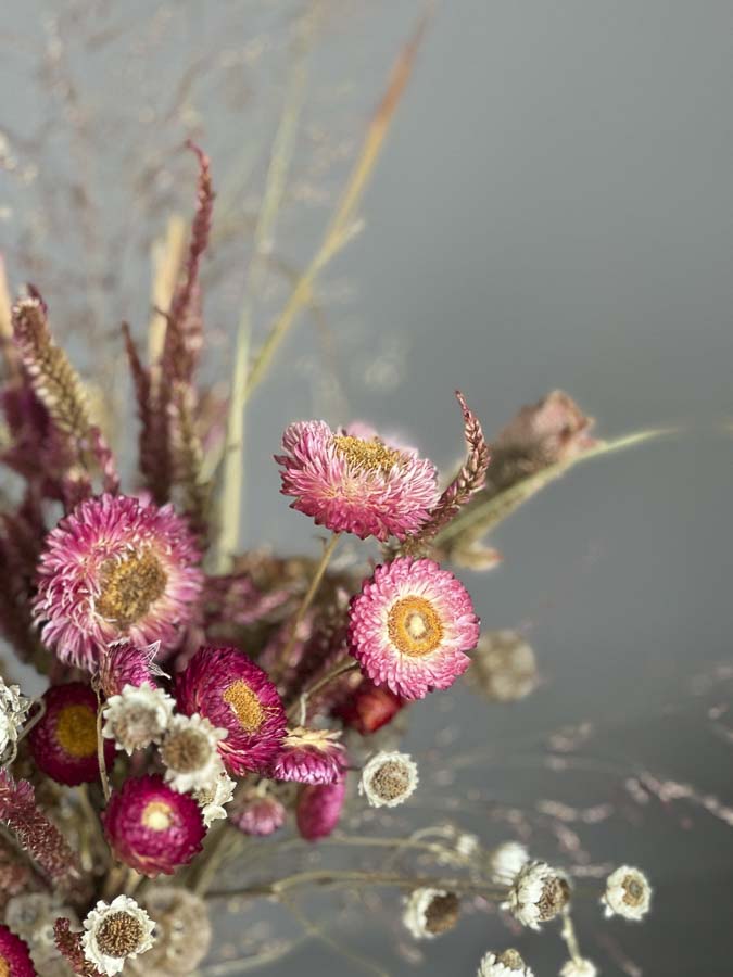 Mazzo Elicriso e Celosia - immagine 2